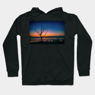 Driftwood Beach Jekyll Island Georgia Hoodie